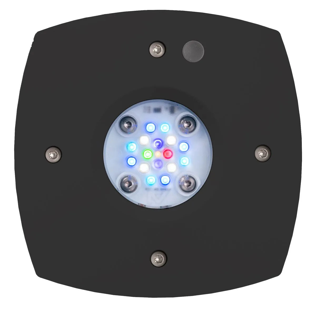 Prime 16 HD LED Reef Light - Black Body