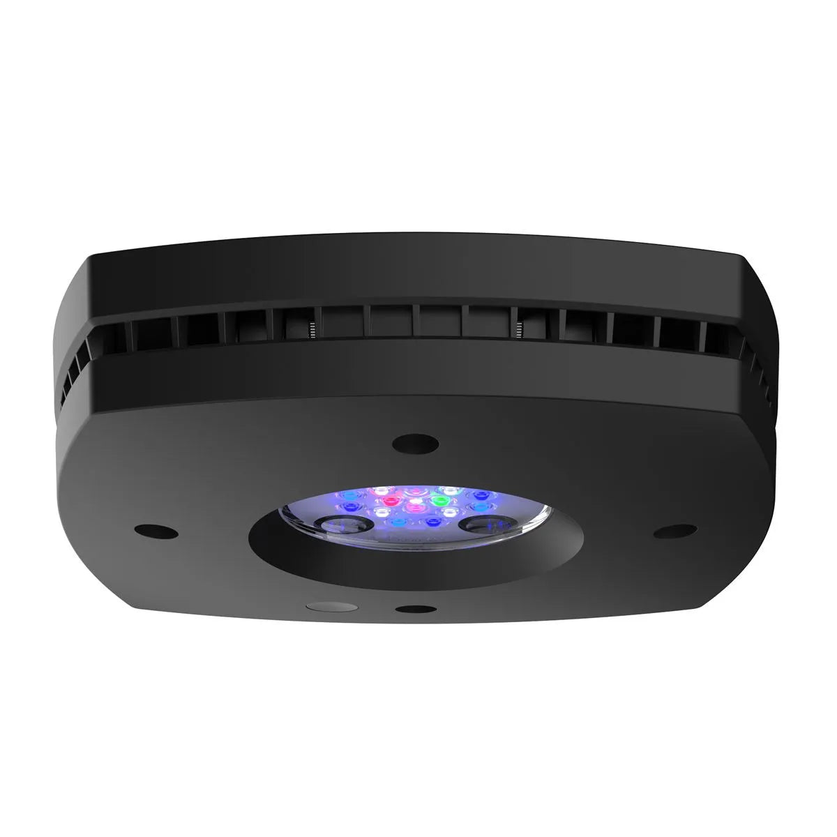 Prime 16 HD LED Reef Light - Black Body