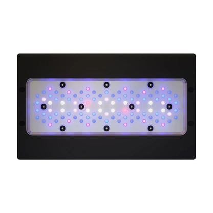 Radion XR30 G6 Blue LED Light Fixture