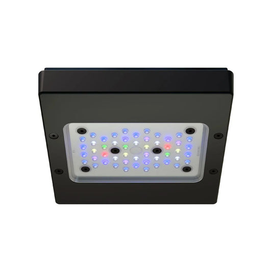 Radion XR15 G6 Blue LED Light Fixture
