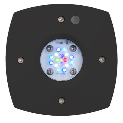 Prime 16 HD LED Reef Light - Black Body