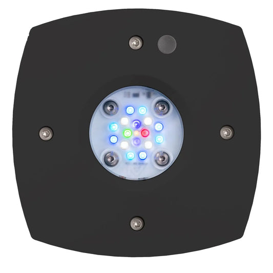 Prime 16 HD LED Reef Light - Black Body